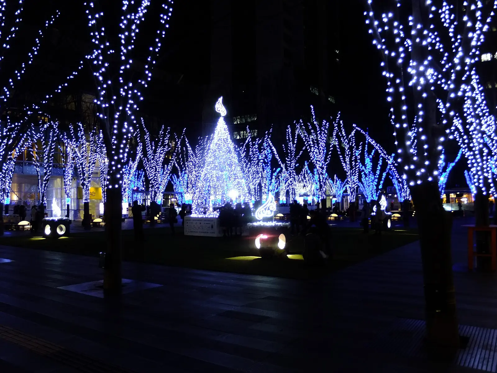 Trees wrapped in blue and white lights around a glowing ornament tree on the lawn plaza at the Keyakihiroba winter illumination in December 2014